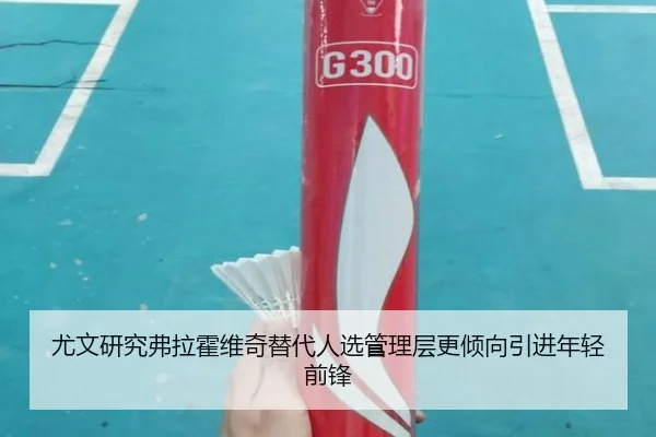 尤文研究弗拉霍维奇替代人选管理层更倾向引进年轻前锋 | MILE
